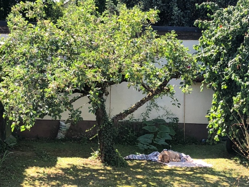He chose his resting place under our apple tree in Germany...